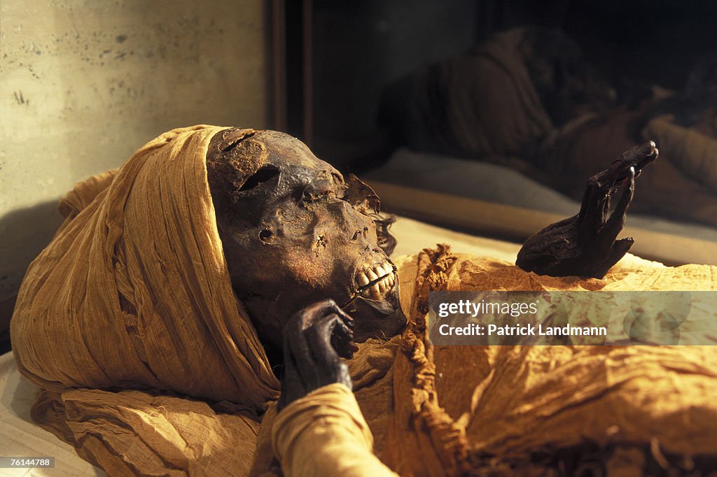 Egypt's Mummies