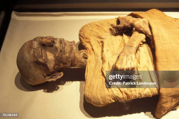 The Royal mummy of Merneptah, in April 2006, at Cairo Museum, Egypt. Merneptah was the fourth ruler of the 19th Dynasty of Ancient Egypt. He reigned...