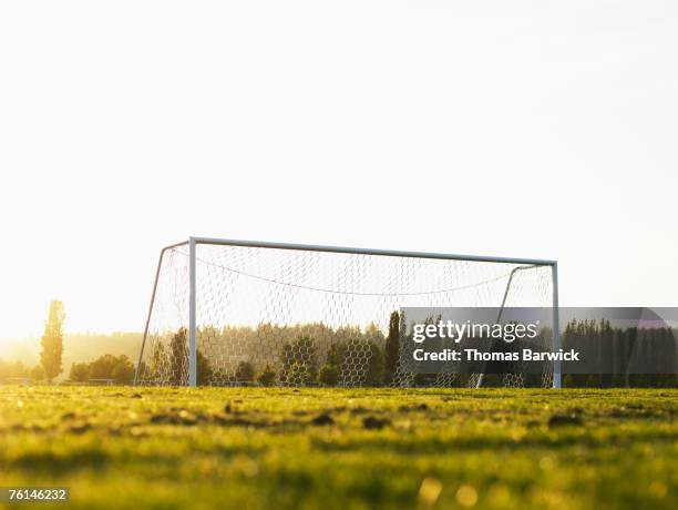 football goal on pitch, ground view - fotbollsmål bildbanksfoton och bilder