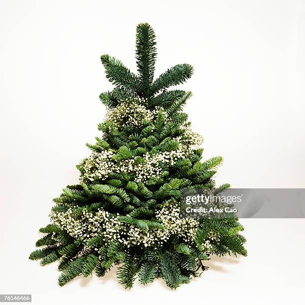 small christmas tree wrapped in baby's breath - gypsophila stock pictures, royalty-free photos & images