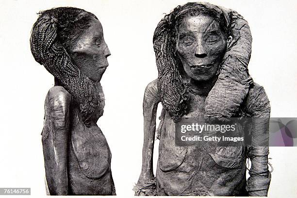 The mummy of the Dame Rai, thought to perhaps be the mother-in-law of Sethi I at Cairo Museum, Egypt.