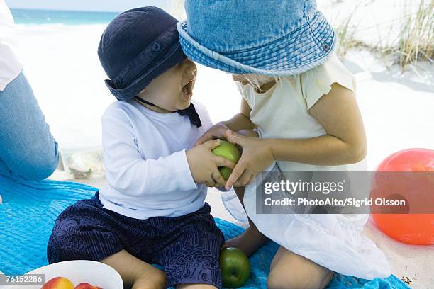 "family having picnic on beach, siblings fighting over apple" - egoismus stock-fotos und bilder