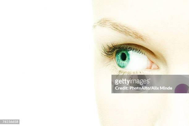 female eye - high key stock pictures, royalty-free photos & images