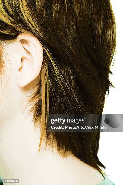 "young woman's nape, extreme close-up" - nape of neck stock pictures, royalty-free photos & images