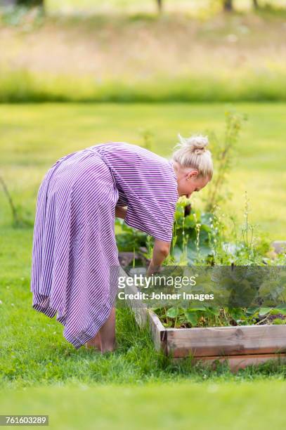 woman gardening - side view vegetable garden stock pictures, royalty-free photos & images