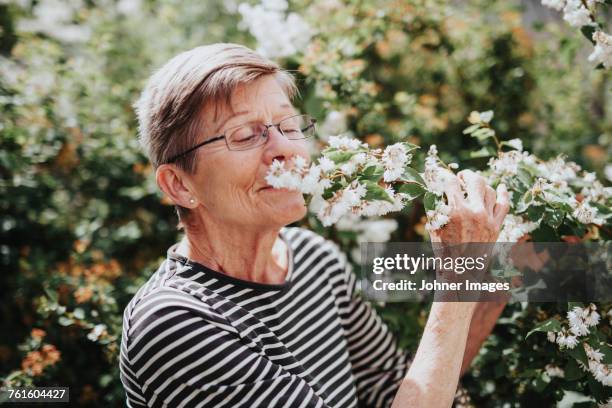 senior woman smelling flowers in garden - ruiken stockfoto's en -beelden