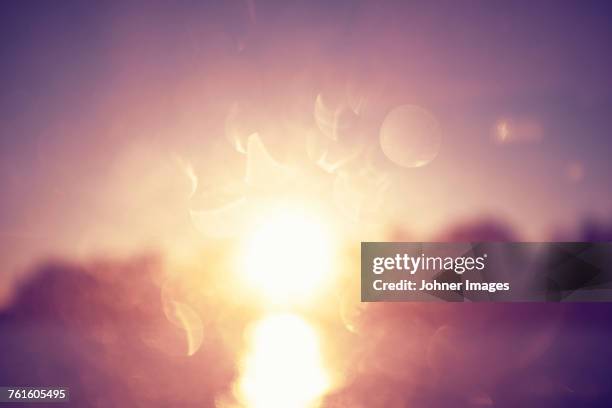 sunlight - lichteffect stockfoto's en -beelden