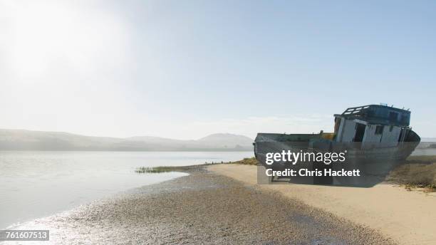 usa, california, inverness, point reyes, tomales bay, shipwreck on sandy coast - bahía tomales fotografías e imágenes de stock