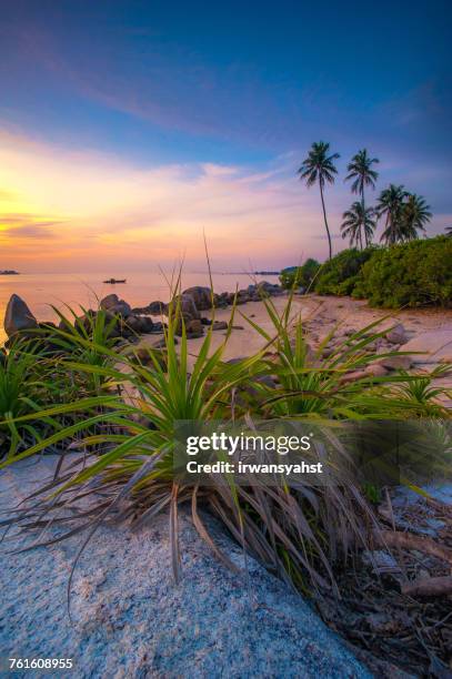 sunrise on beach, bintan, tanjung pinang, riau islands, indonesia - riau images stock-fotos und bilder