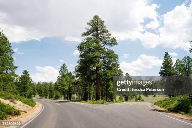 usa, utah, empty forked road in bryce canyon national park - bivio foto e immagini stock