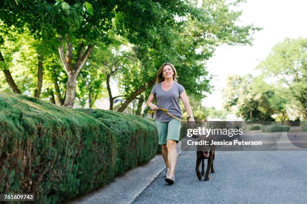 woman walking with labrador retriever - only mature women stockfoto's en -beelden