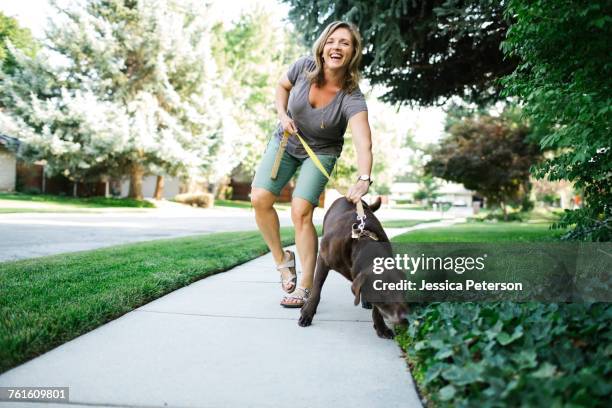 woman walking with labrador retriever - groene korte broek stockfoto's en -beelden