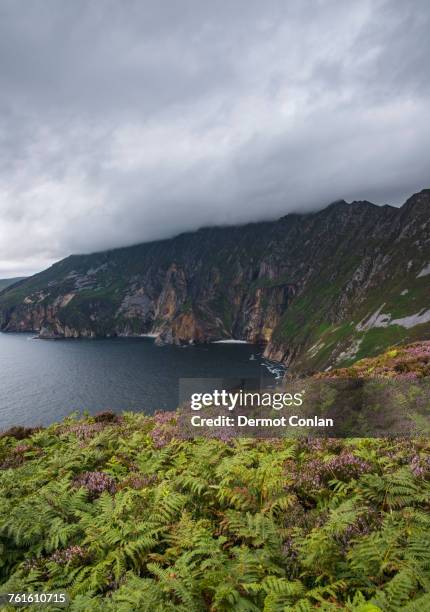 ireland, county donegal, slieve league cliffs by donegal bay - slieve league donegal stock-fotos und bilder