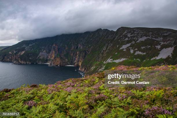 ireland, county donegal, slieve league cliffs by donegal bay - slieve league donegal stock pictures, royalty-free photos & images