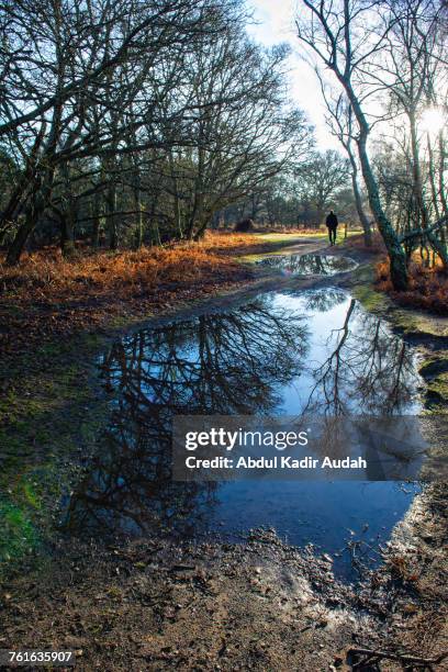 puddles - abdul kadir audah stock pictures, royalty-free photos & images