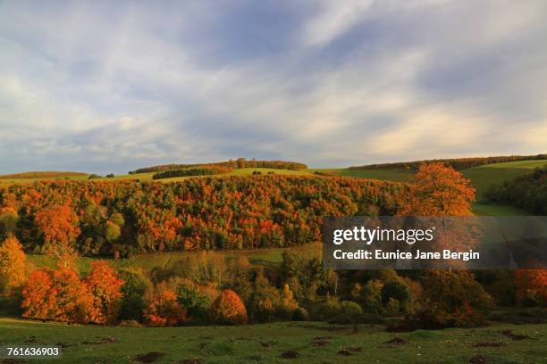 autumn  - south downs imagens e fotografias de stock