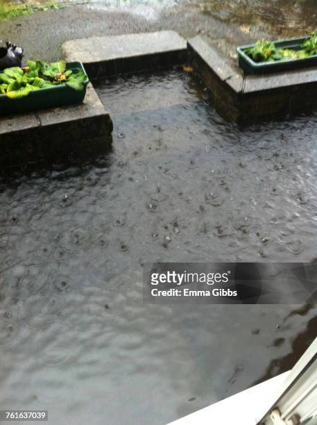 puddles - emma gibbs stock pictures, royalty-free photos & images
