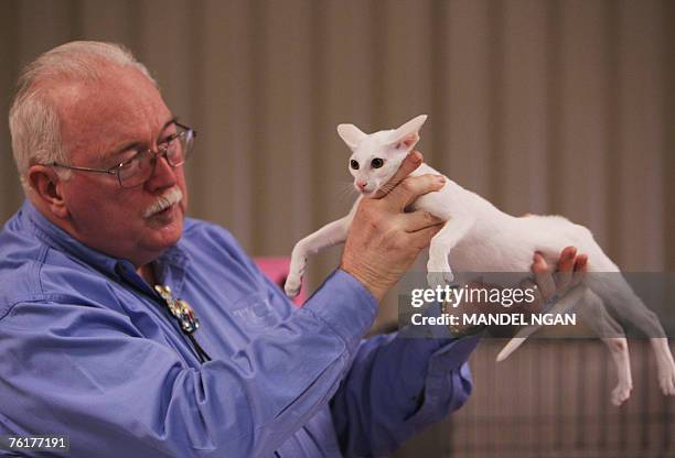 Judge Bill Lee holds Oriental Shorthair kitten "Sarko Fantasia of Rhoshigar" during judging 19 August 2007 in the International Cat Association 2007...