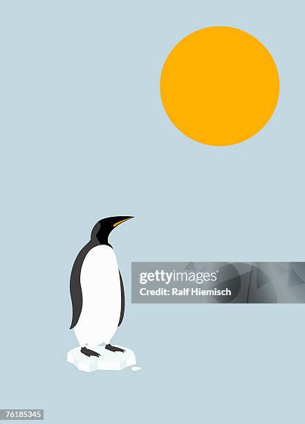 penguin standing on a melting iceberg under the sun - pinguine stock-grafiken, -clipart, -cartoons und -symbole
