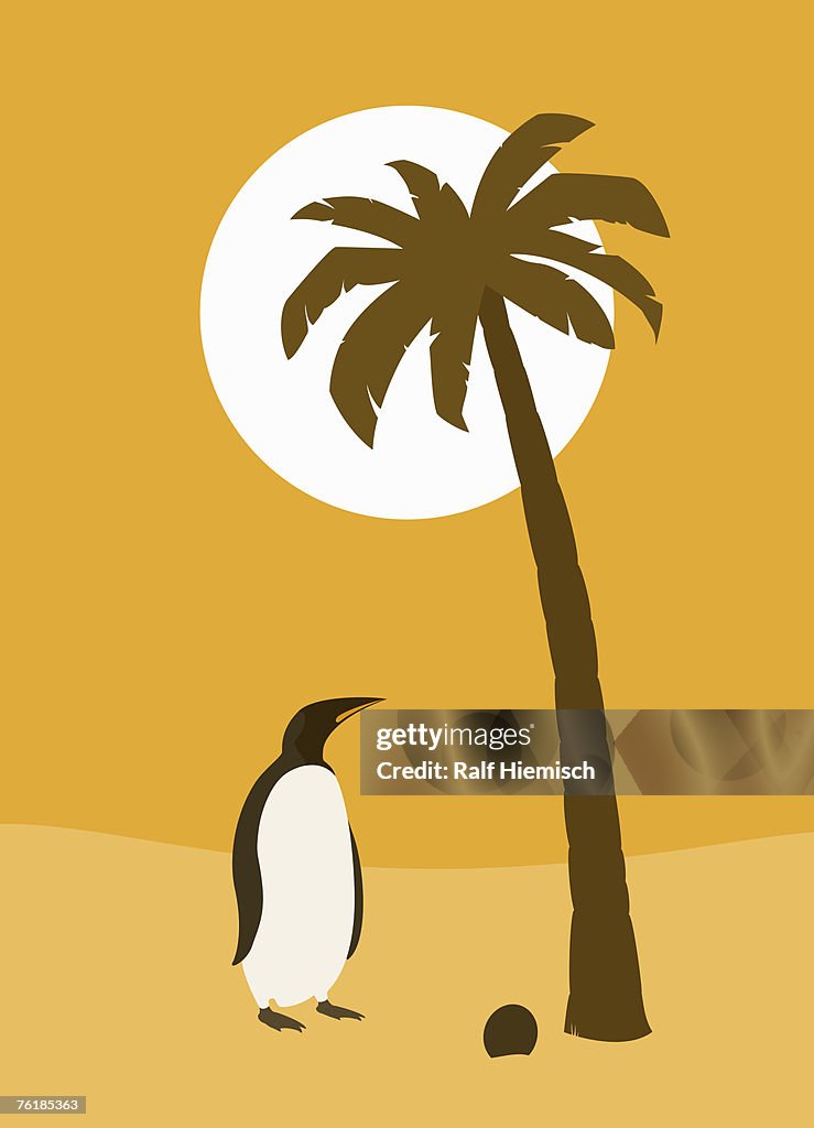 A confused penguin standing under a palm tree