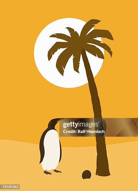 a confused penguin standing under a palm tree - penguin stock illustrations