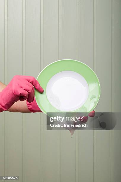 detail of a person wearing rubber gloves and holding a clean plate - 主婦ゴム手袋画像 ストックフォトと画像