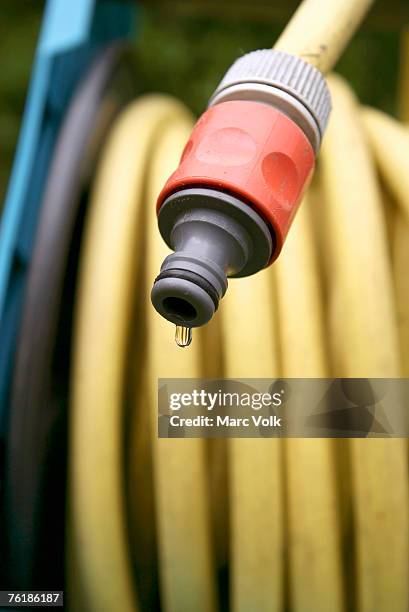 21 Garden Hose Reel Stock Photos, High-Res Pictures, and Images