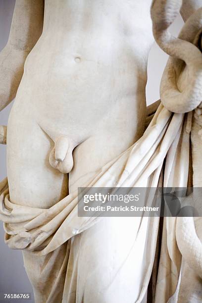 midsection of a naked male sculpture - genitals bildbanksfoton och bilder