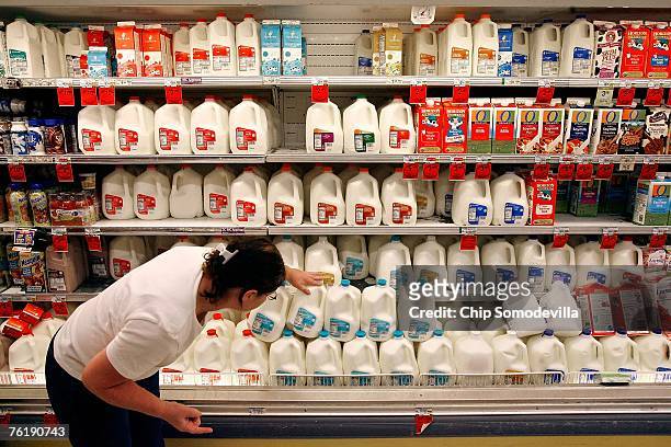 Customer scans the expiration date on gallons of milk sitting on a cooler shelf at a Safeway grocery store August 20, 2007 in Washington, DC. The...