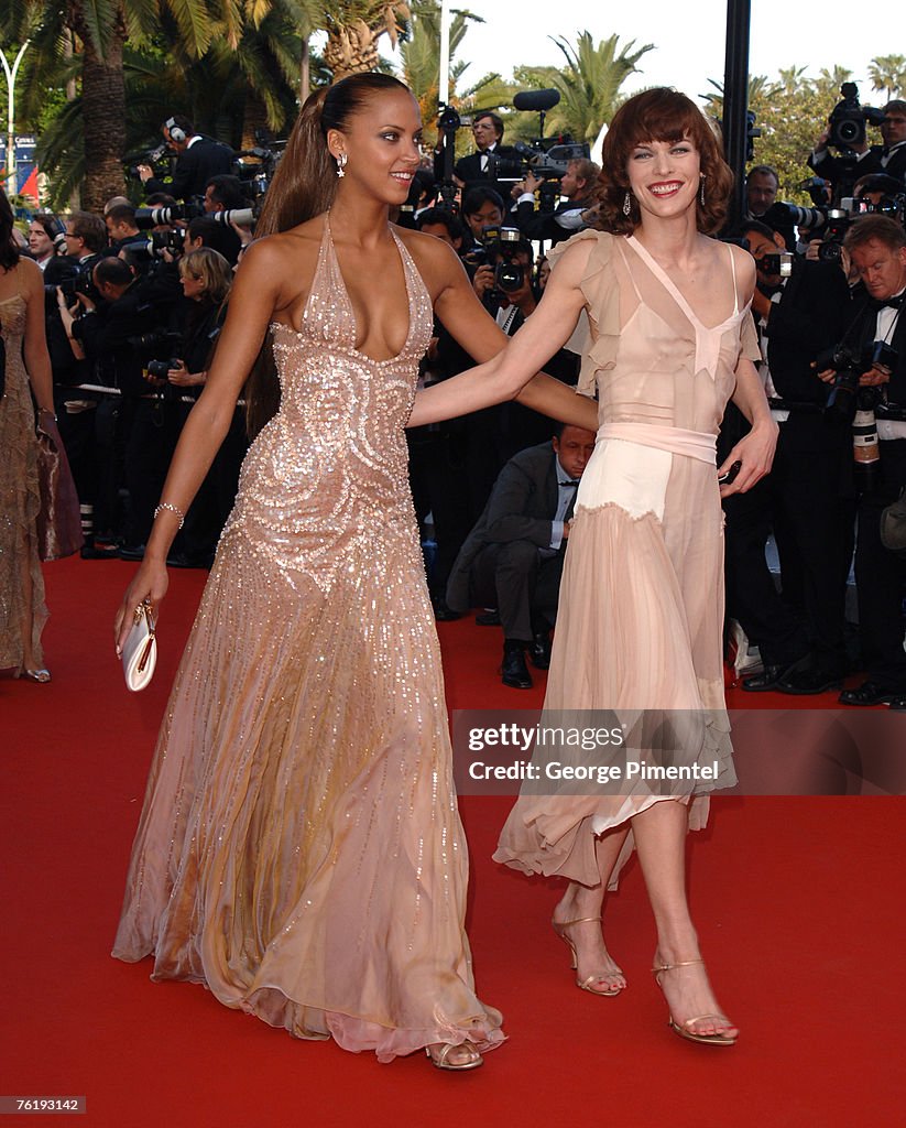 2005 Cannes Film Festival - Closing Ceremony and "Chromophobia" Screening