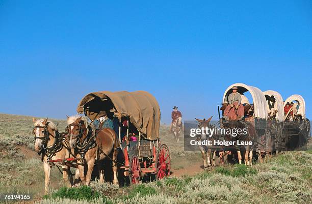 mormons on horse carriages, mormon pioneer wagon train to utah, near south pass, wyoming, united states of america, north america - horse cart stock pictures, royalty-free photos & images