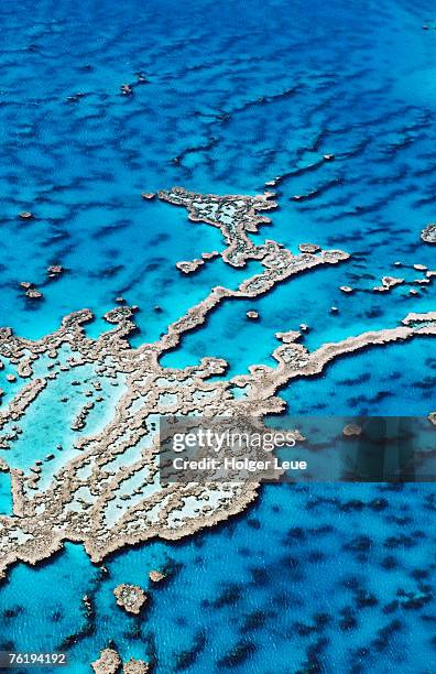 aerial of hardy reef, near whitsunday islands, great barrier reef, queensland, australia, australasia - ilhas whitsunday imagens e fotografias de stock