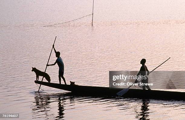 two men and a dog in a canoe, silhouetted, rabaul, east new britain, papua new guinea, pacific - rabaul stock pictures, royalty-free photos & images