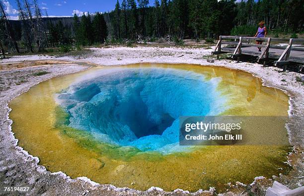 morning glory pool in the norris geyser basin, yellowstone national park, wyoming, united states of america, north america - geyser ストックフォトと画像