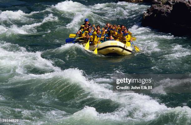 white-water rafting in snake river, jackson hole, jackson, wyoming, united states of america, north america - river snake stock pictures, royalty-free photos & images