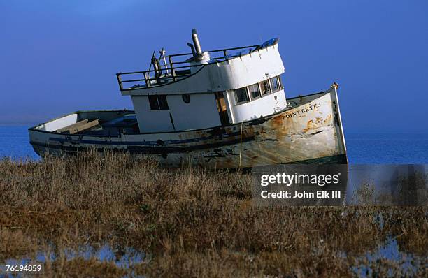 wreck of the 'point reyes' in tomales bay, point reyes national seashore, point reyes national seashore, california, united states of america, north america - bahía tomales fotografías e imágenes de stock