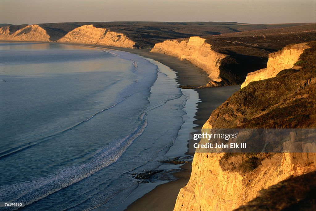 Drakes Beach and the cliffs at sunrise, Point Reyes National Seashore, Point Reyes National Seashore, California, United States of America, North America