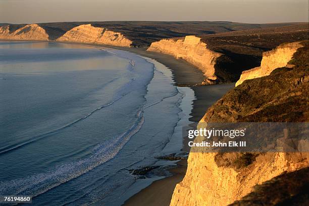 drakes beach and the cliffs at sunrise, point reyes national seashore, point reyes national seashore, california, united states of america, north america - woerd stockfoto's en -beelden