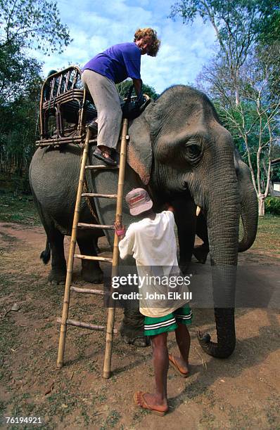 tourist getting onto an elephant for a ride, bolaven plateau, champasak, laos, south-east asia - meseta de bolaven fotografías e imágenes de stock