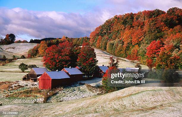 trees in autumn at jenne farm with dusting of snow, south woodstock, woodstock, vermont, united states of america, north america - woodstock stockfoto's en -beelden