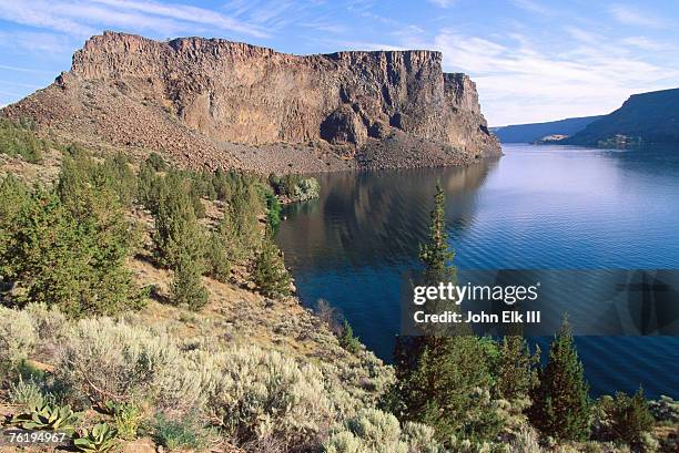 lake billy chinook, cove palisade sp, deschutes national forest, oregon, united states of america, north america - chinook dog ストックフォトと画像