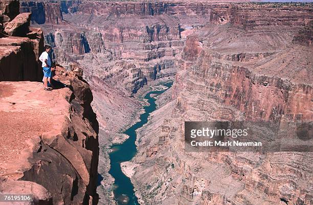 toroweap overlook, remote north west grand canyon, grand canyon national park, arizona, united states of america, north america - toroweap overlook stock-fotos und bilder