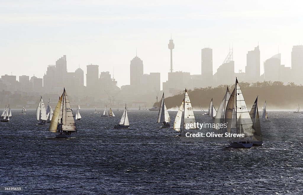 Yachts on Sydney Harbour, late afternoon, with city skyline beyond.