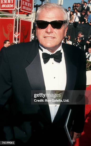 Actor Brian Dennehy attending 45th Annual Primetime Emmy Awards on September 19, 1993 at Pasadna Civic Auditorium in Pasadena, California.