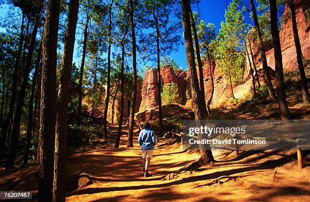 walker among pines on sentier des ocres (ochre trail), roussillon, provence-alpes-cote d'azur, france, europe - roussillon stock pictures, royalty-free photos & images