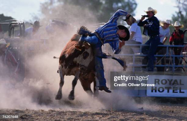 Man Falling Off Horse Photos and Premium High Res Pictures - Getty Images