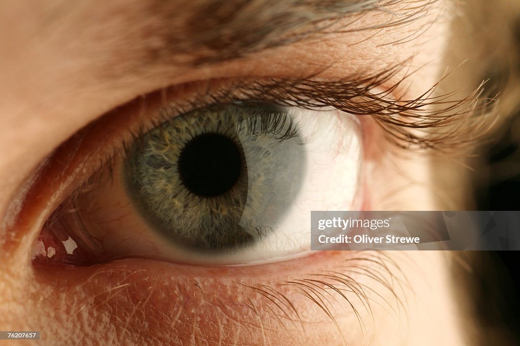 Human eye, Australia, Australasia