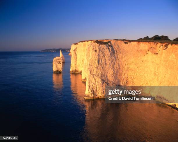 pinnacles at handfast point, studland, dorset, england, united kingdom, europe - david cliff stock pictures, royalty-free photos & images