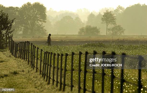 Woman strolls 22 August 2007 on a field in Dietersheim near Freising, southern Germany, as rising sun comes through the morning damp. Meteorologists...