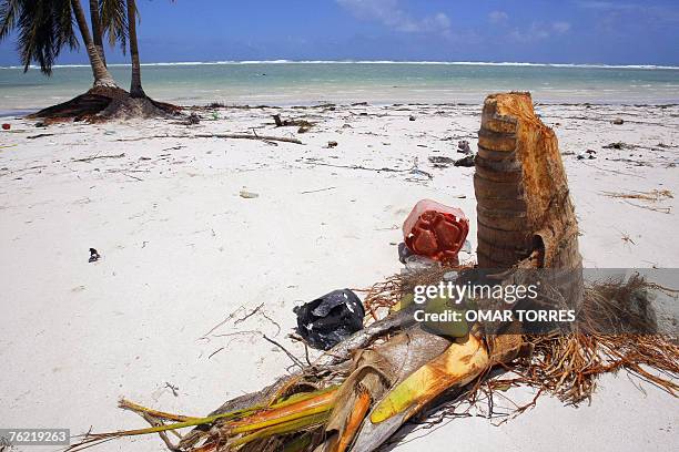 Picture taken at the beach of Mahahual, 80 km from Chetumal, 22 August 2007 after the passage of Hurricane Dean through this Mexican town. The...